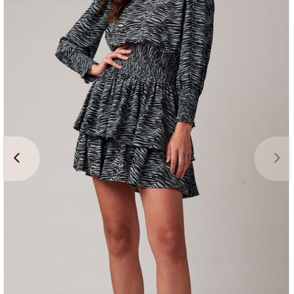Chic Zebra Patterned Mini Dress - image 6